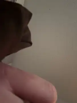 PhattPinxkTaco online show from 03.13.25