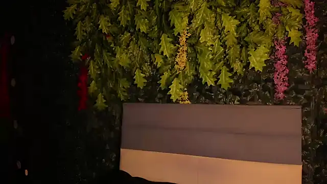 Snapshot of Nikki_and_Mayk chatting on 02.11.25 Nikki and Mayk online show from 02.11.25