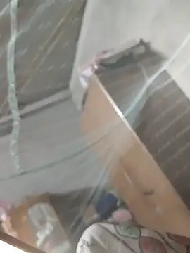 birds0641 online show from 03.31.26