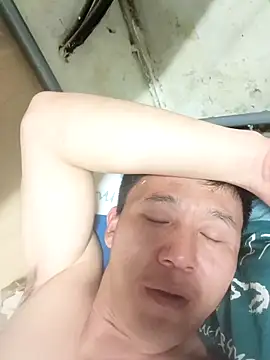 wadmma online show from 03.10.26