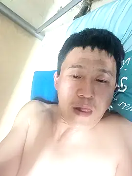 wadmma online show from 03.11.26