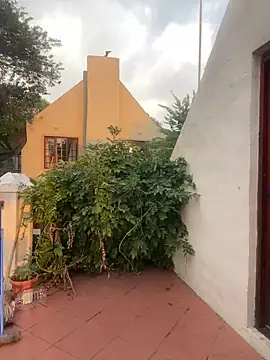 Snapshot of ZinaFreak chatting on 02.04.25 ZinaFreak online show from 02.04.25