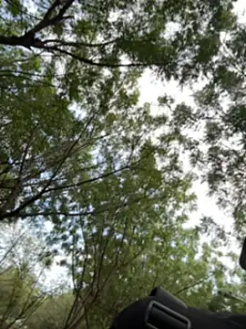 arevalo1124 online show from 12.02.25