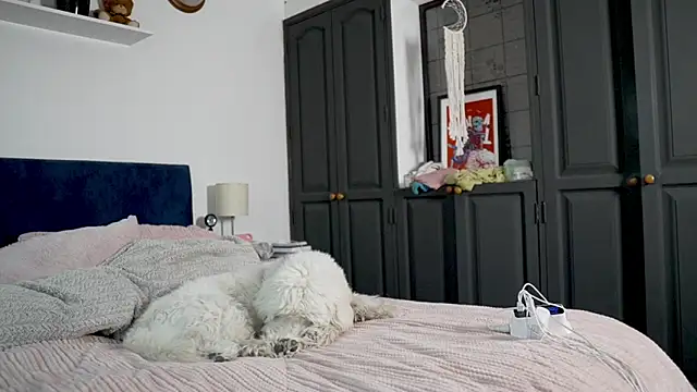 tattoo ninja kittyy online show from 10.16.25