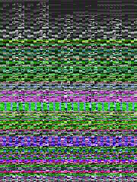 Snapshot of Yankees- chatting on 02.01.25 Yankees- online show from 02.01.25