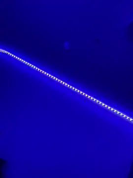 Snapshot of DaniJohnson chatting on 02.07.25 DaniJohnson online show from 02.07.25