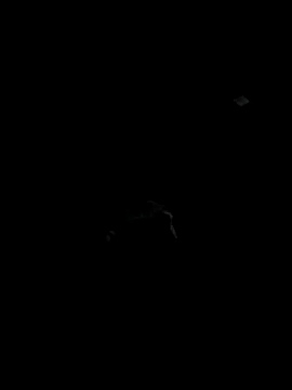 Codybugs0206 online show from 11.22.25