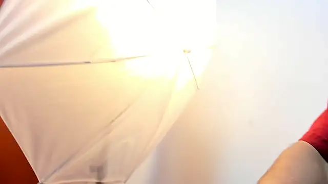 roan birkin online show from 01.11.26