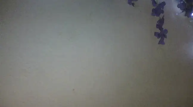 xxsexycutexxx online show from 02.18.25