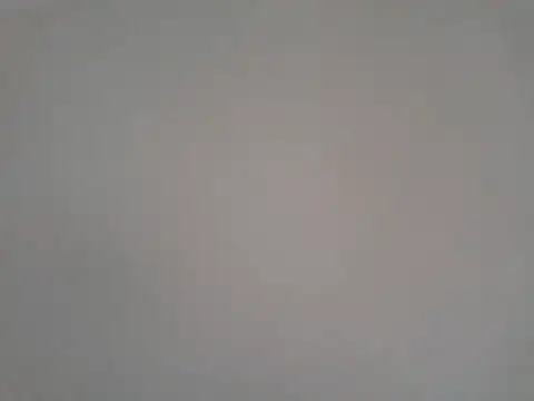 beicao10 online show from 02.10.25