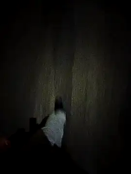 Snapshot of dominationmybigdick chatting on 10.27.25 dominationmybigdick online show from 10.27.25