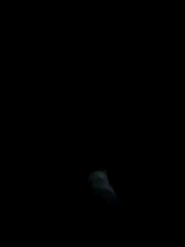 dominationmybigdick online show from 03.27.26