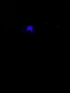 Avignon1963 online show from 05.26.26