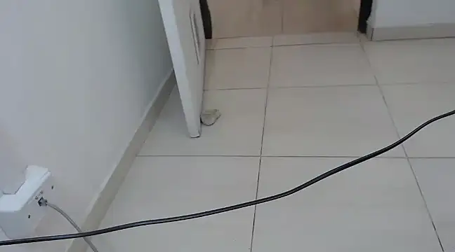 StormyWets Bluk online show from 03.11.25