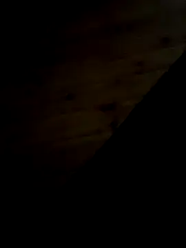 Arabian online show from 02.11.25