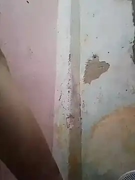 shuelldin online show from 02.13.25