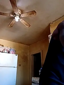 Snapshot of birdg chatting on 11.12.25 birdg online show from 11.12.25