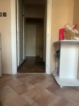 Budibudi5 online show from 11.07.25