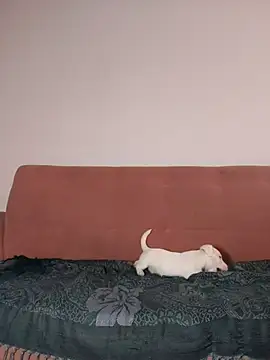 Snapshot of Jehan_Soto chatting on 09.09.25 Jehan Soto online show from 09.09.25