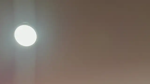 alice lodge online show from 03.22.25