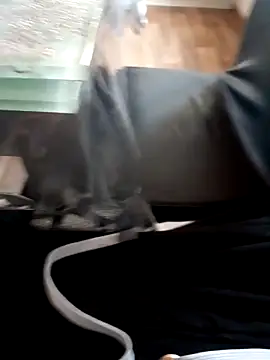 Bigdick420anal online show from 03.20.25