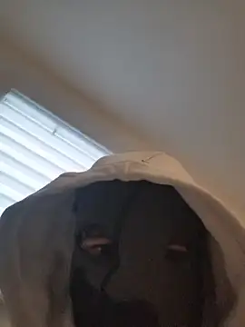 Bigdick420anal online show from 02.04.26