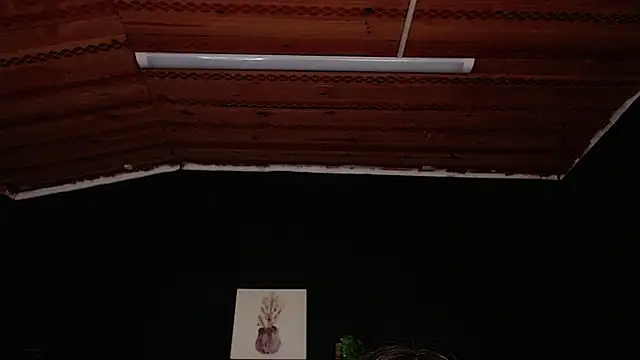 fyreandfox  online show from 11.18.25