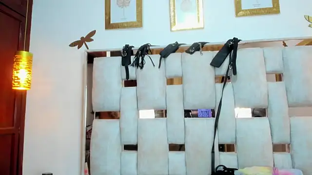 Snapshot of Braylen_Sanchez chatting on 12.20.25 Braylen Sanchez online show from 12.20.25