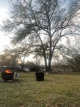 HTXBELLE online show from 01.05.26