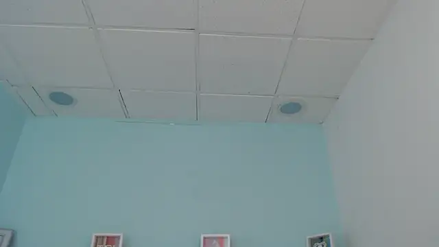 Sunshine gh1 online show from 05.25.26