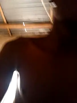 lilpip online show from 02.15.26