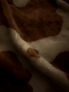 benhadj71 online show from 04.04.26