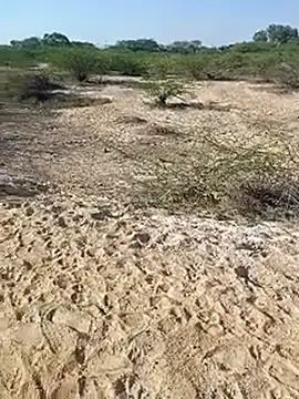 Snapshot of Delhi_BoyBigcock chatting on 03.11.25 Delhi BoyBigcock online show from 03.11.25