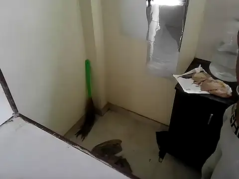 fitbuddy1 online show from 09.11.25