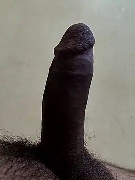 Snapshot of alkhabiir chatting on 01.08.26 alkhabiir online show from 01.08.26