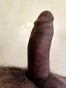 Snapshot of alkhabiir chatting on 01.11.26 alkhabiir online show from 01.11.26