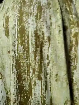 Snapshot of mens_weakness chatting on 11.02.25 mens weakness online show from 11.02.25