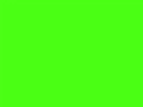 qwe14725 online show from 04.14.26