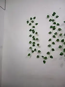 Neha-Bhabhi-Rasily online show from 11.07.25