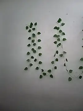 Neha-Bhabhi-Rasily online show from 12.17.25