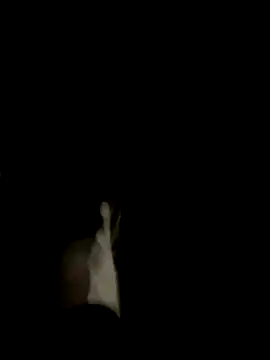 Snapshot of Dasul_ chatting on 10.11.25 Dasul online show from 10.11.25