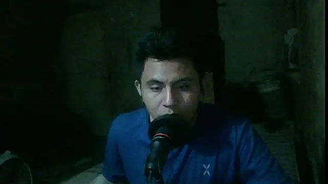 Snapshot of mikigamesH2 chatting on 03.04.25 mikigamesH2 online show from 03.04.25