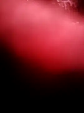 Snapshot of punam259 chatting on 12.04.25 punam259 online show from 12.04.25