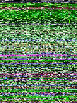 Snapshot of RightFielder chatting on 11.25.25 RightFielder online show from 11.25.25