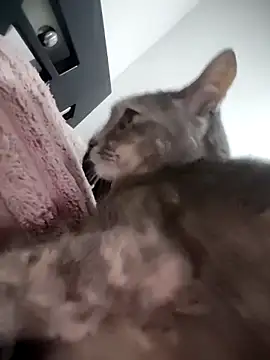 mialorents online show from 11.23.25