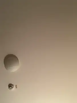 Snapshot of Saysay-7 chatting on 11.20.25 Saysay-7 online show from 11.20.25