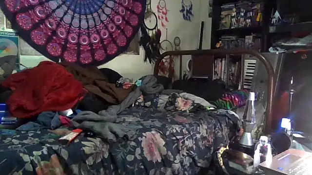 GardeniaFields online show from 12.17.25