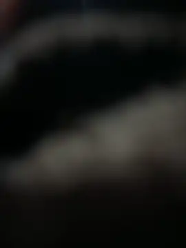 Snapshot of HARSHHU01 chatting on 03.17.25 HARSHHU01 online show from 03.17.25