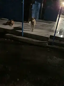 Snapshot of goluaryan chatting on 04.07.26 goluaryan online show from 04.07.26