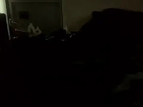 Snapshot of SavagesGN chatting on 02.14.26 SavagesGN online show from 02.14.26